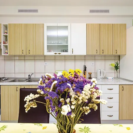Apartment Awesome In With Kitchen